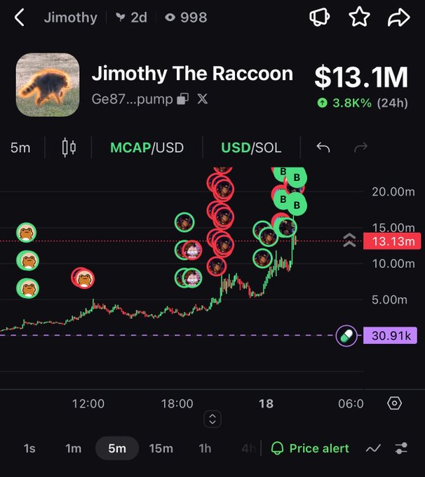A cryptocurrency chart for 'Jimothy The Raccoon' showing a market cap of $13.1M with a 3.8% 24h increase, displaying trading activity on the pump.fun platform.