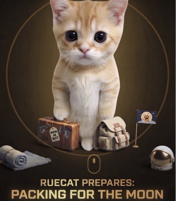 A digital poster features an orange and white kitten sitting inside a golden circle alongside space travel gear—a vintage suitcase labeled "MOON OR BUST," a backpack, an astronaut helmet, and a moon flag—with the text "RUECAT PREPARES: PACKING FOR THE MOON" displayed below.

The image ties into the post's "#ToTheMoon" theme by visually depicting $RUECAT as a "SpaceCat" ready for lunar travel, reinforcing the memecoin's "mooning" rallying cry with playful astronaut imagery.