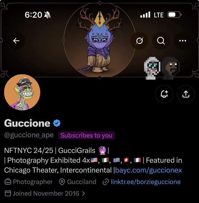 A mobile screenshot of an X (Twitter) profile for "Guccione" (@guccione_ape), a verified photographer from Gucciland whose NFTNYC 24/25 exhibition and GucciGraits photography work, featured in Chicago Theater and multiple countries, aligns with the post celebrating a new follower from the Yuga Labs/Bored Ape community.