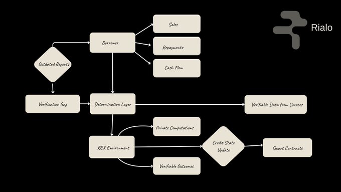 The image shows a flowchart or diagram with various boxes representing different aspects of a business, such as "Borrower", "Loan", "Credit", "Loan Update", and "Loan Update". The diagram also includes text elements like "Rialo" and "One thing I've come to realize is that private credit isn't just about getting loans onchain. That's not sci-fi, that's @RialoHQ One thing I've come to realize is that private credit isn'