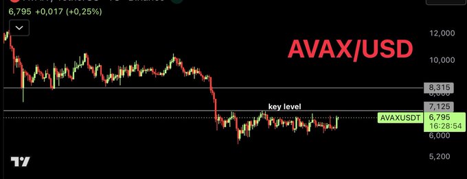A candlestick chart of AVAX/USD trading at 6.795 (+0.25%) at 16:28:54, showing price consolidating below a marked "key level" of 7.125, with resistance overhead at 8.315—illustrating the technical setup referenced in the post about potential acceleration if this level breaks.