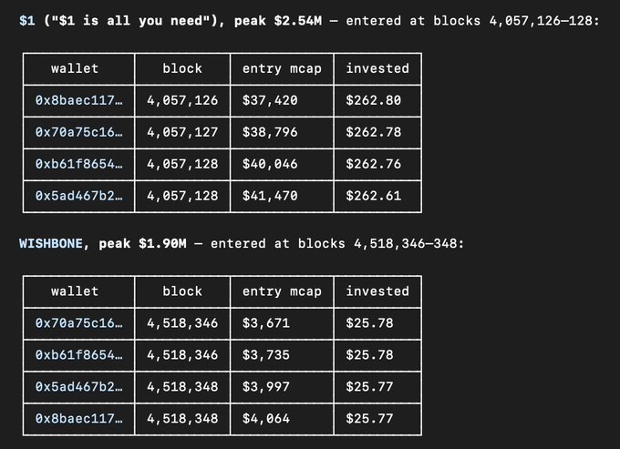 A data table showing crypto wallet investments for tokens '$1 ('$1 is all you need')' and 'WISHBONE', listing wallet addresses, block numbers, entry market caps, and invested amounts.