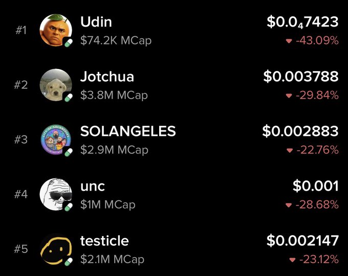 A meme coin price tracker displays the top 5 tokens all in the red, including $Udin at $0.047423 (-43.09%), $Jotchua at $0.003788 (-29.84%), $SOLANGELES at $0.002883 (-22.76%), $unc at $0.001 (-28.68%), and $testicle at $0.002147 (-23.12%), aligning with the poster's reassurance that despite the heavy losses, they haven't sold their meme coin holdings.