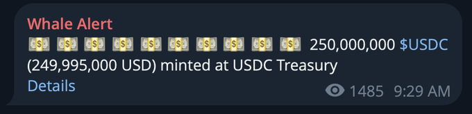 A "Whale Alert" notification displays that 250,000,000 USDC ($249,995,000 USD) was minted at the USDC Treasury, with 1,485 views at 9:29 AM. The image supports the post's claim that another $250 million in new USDC has been issued, contributing to the observed increase in liquidity on the platform.