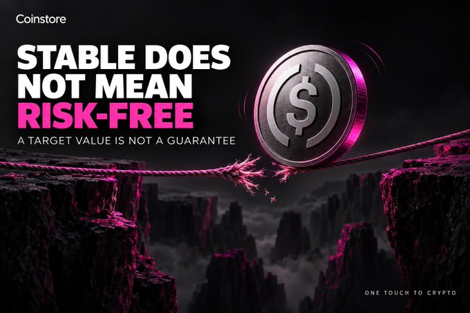 A Coinstore promotional graphic with the text 'STABLE DOES NOT MEAN RISK-FREE - A TARGET VALUE IS NOT A GUARANTEE' showing a USD coin balanced on a fraying rope over a canyon, with 'ONE TOUCH TO CRYPTO' in the corner.