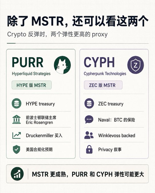 An infographic titled in Chinese comparing crypto proxy stocks, featuring PURR (Hyperliquid Strategies) as 'HYPE版MSTR' with HYPE treasury, ex-Bitcoin OG Eric Rosengren, Druckenmiller buying, and US compliance expectations, alongside CYPH (Cypherpunk Technologies) as 'ZEC版MSTR' with ZEC treasury, Naval calling it 'BTC insurance,' Winklevoss backing, and privacy narrative. Bottom banner notes MSTR is more mature, so PURR and CYPH may have greater upside.