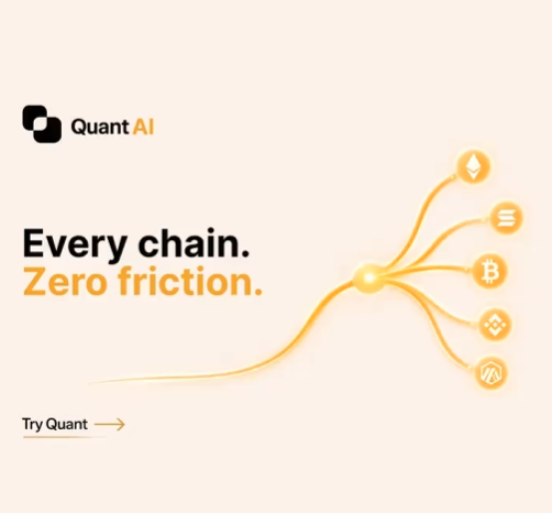 A minimalist advertisement for 'Quant AI' with the tagline 'Every chain. Zero friction.' featuring a branching diagram with cryptocurrency icons including Ethereum, Bitcoin, and others, plus a 'Try Quant' call-to-action.