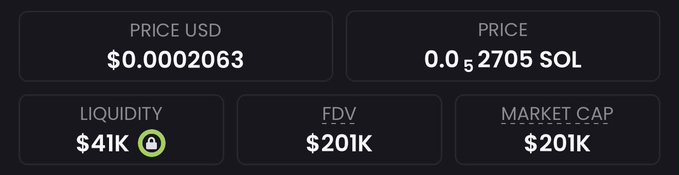 The image displays cryptocurrency metrics showing a token priced at $0.0002063 USD (0.0₅2705 SOL), with $41K liquidity, and both FDV and Market Cap at $201K. These figures support the post's claim that the coin is an undervalued gem sitting at approximately a 200K market cap, with the post arguing it could be the next $PEPE rather than $TOAD.