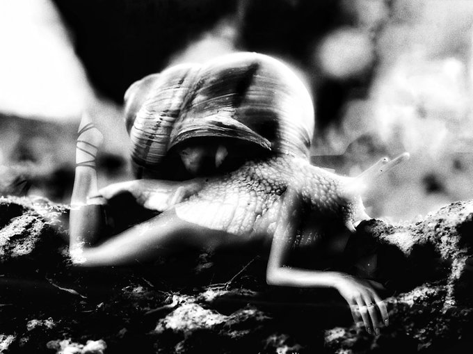 A black and white close-up photograph of a snail crawling across rough, textured ground with its tentacles extended.