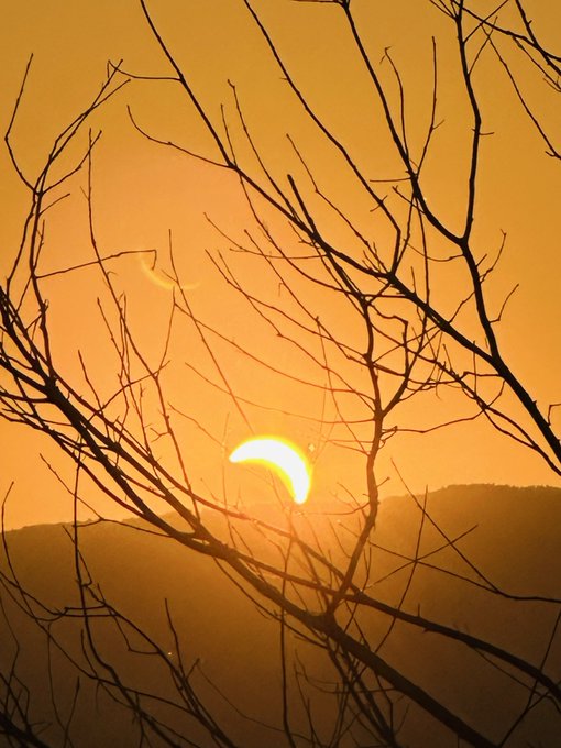 A scenic photograph capturing a partial solar eclipse viewed through silhouetted bare tree branches, with the crescent sun glowing orange against a warm hazy sky.