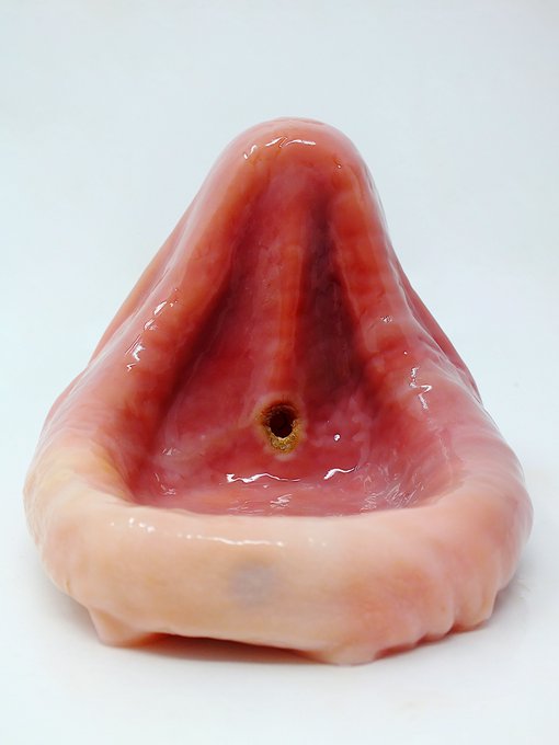 A sculpture or realistic model of the inside of a human nostril with a hole in the center, displayed against a white background.