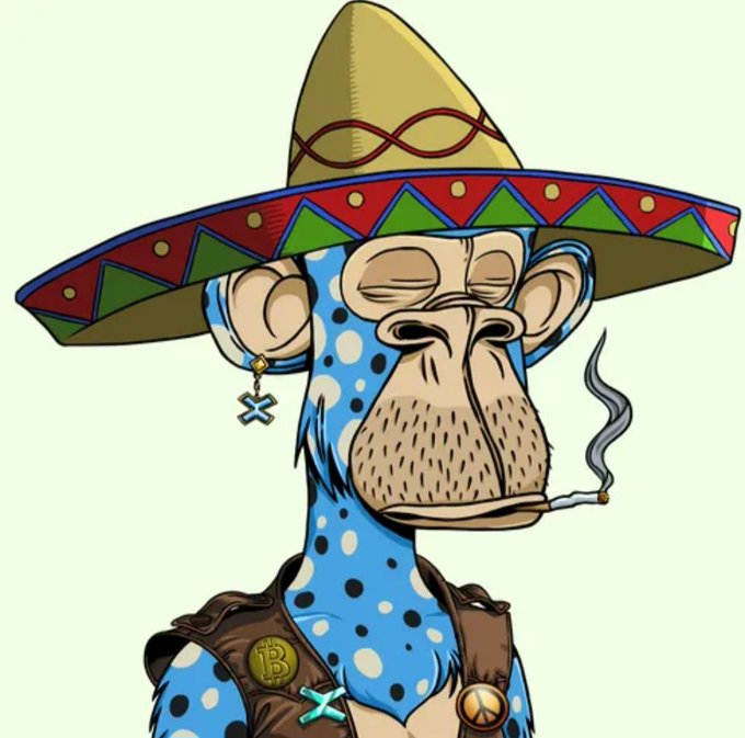 A cartoon-style NFT artwork depicts a Bored Ape character wearing a large sombrero and a leather vest, accessorized with Bitcoin (B) and other charms, and smoking a cigarette.
