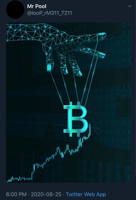 A tweet by "Mr Pool" (@_looP_rM311_7211) from August 25, 2020, displays a digital illustration of a wireframe hand resembling a puppeteer, manipulating a Bitcoin (₿) symbol suspended above an upward-trending price chart, suggesting market manipulation as the price rises "right on time."