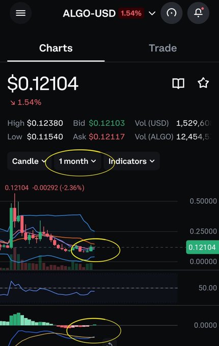 A cryptocurrency trading app displaying ALGO-USD at $0.12104, down 1.54%, with a candlestick chart and circled highlights on the 1 month timeframe and chart areas.