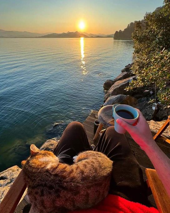 A person relaxing by a calm body of water at sunset holds a cup of coffee while an orange tabby cat sleeps on their lap, with mountains and a setting sun reflecting on the water in the background.