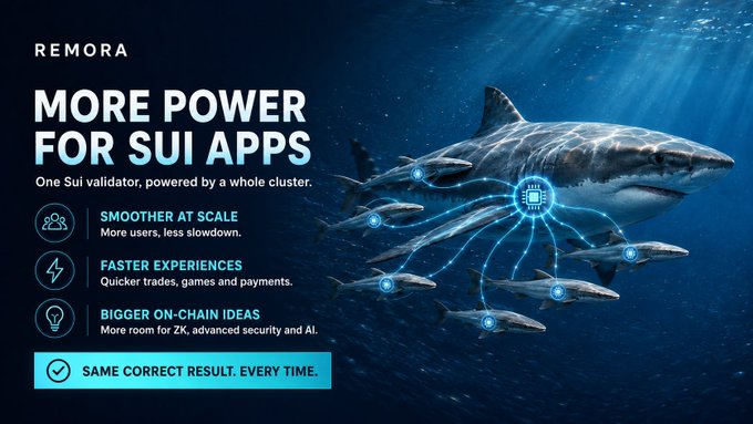 A promotional graphic for Remora featuring a great white shark accompanied by smaller fish, illustrating the concept of "one Sui validator powered by a whole cluster," with text highlighting benefits like "Smoother at Scale," "Faster Experiences," and "Bigger On-Chain Ideas."