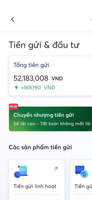 Vietnamese-language banking app screen titled 'Tiền gửi & đầu tư' showing a total deposit ('Tổng tiền gửi') of 52,183,008 VND with a green increase of +169,190 VND.