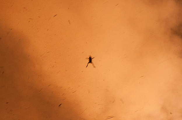 An aerial view shows a lone figure lying spread-eagle in a vast expanse of orange desert sand.