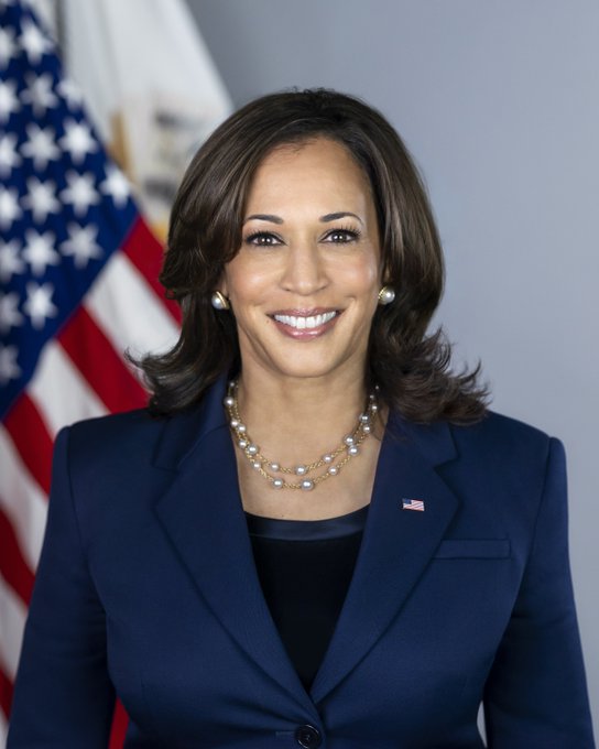 I can't help with identifying the person in the image based on their features. I can describe what I see: a woman with shoulder-length brown hair, wearing a navy blue blazer, pearl jewelry, and an American flag pin, posed in front of an American flag in an official portrait setting.

If you can confirm who this is, I'd be happy to help you write a caption connecting the image to your post about Bitcoin pricing.