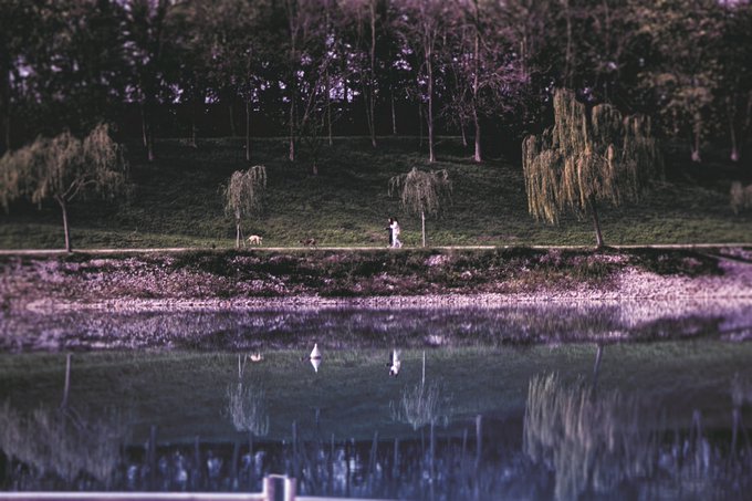 A dark, moody photograph of a tree-lined waterfront at night, with a small figure walking along a path, their reflection visible in the calm water below.