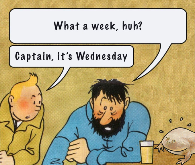 A Tintin comic strip panel featuring Captain Haddock looking exhausted as Tintin says 'Captain, it's Wednesday' in response to the Captain's complaint 'What a week, huh?'.