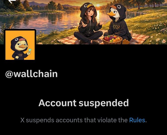 The image features a social media post with a cartoon duck character wearing a hoodie, sitting next to two other cartoon ducks. The post includes text that reads "wallchain account suspended" followed by an explanation of why the account has been suspended.