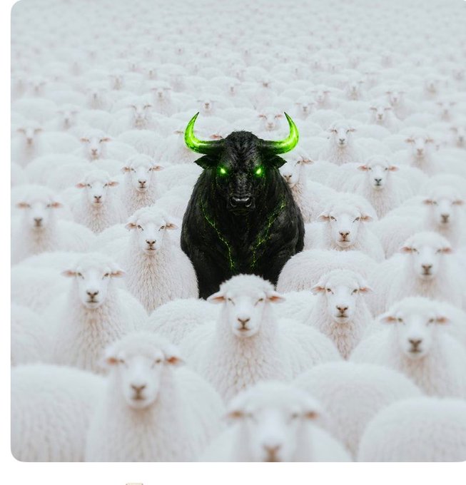 A black bull with glowing green horns and eyes stands out strikingly against a vast sea of identical white sheep, visually representing the "hidden bull" concept in the context of quantum internet. This imagery aligns with the post's idea of resting or pausing within the Quip Network's quantum ecosystem.