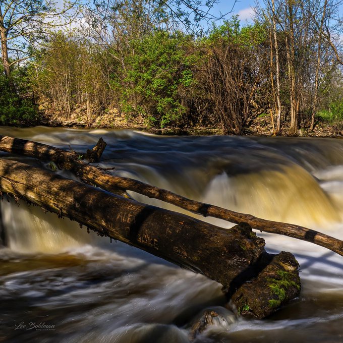 A nature photograph captures fast-moving, murky river water flowing past fallen logs, with a wooded shoreline and blue sky in the background, watermarked 'Liz Goldman'.