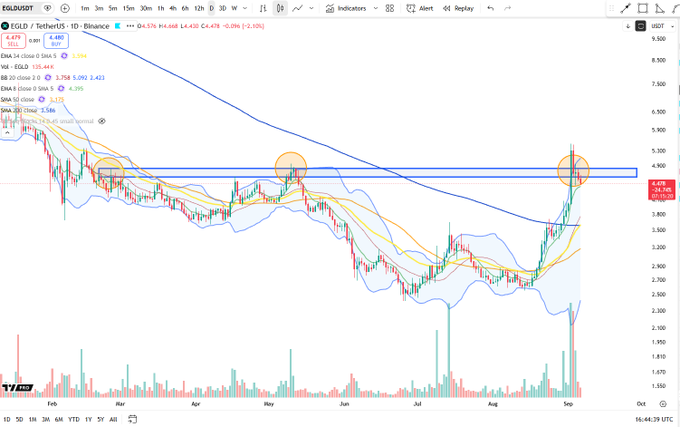 A daily candlestick chart of EGLD/USDT on Binance shows the price breaking above a key horizontal resistance zone near $4.40 (highlighted by blue rectangles) but failing to hold, forming a potential upthrust pattern with a long upper wick and rising volume. The chart displays moving averages (SMA 5, 10, 20, 50, 200) and Bollinger Bands, with the recent price action at $4.28 suggesting a false breakout after a strong rally from lows near $2.5.
