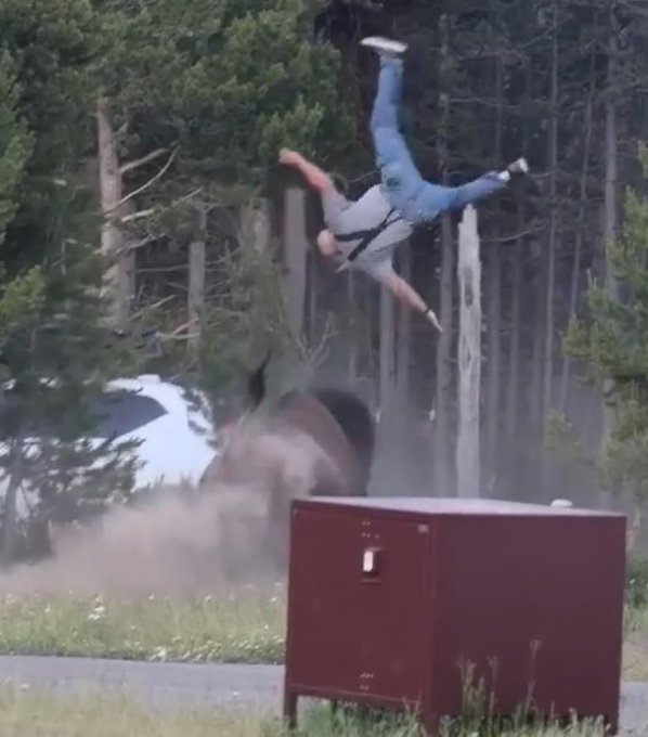A person is seen tumbling violently through the air after crashing through a roof, with dust and debris exploding outward. The image humorously captures the chaotic, uncontrolled reaction—much like crypto investors hype-driven panic—every time Eric Trump publicly endorses Ethereum (ETH).