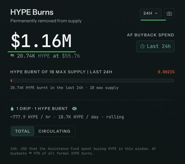 A dashboard shows 'HYPE Burns' with $1.16M permanently removed from supply, noting '20.74K HYPE at $55.76' and '1 DRIP : 1 HYPE BURNT'.