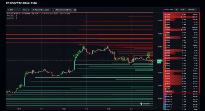 A trading chart titled 'BTC Whale Orders & Large Trades' from Coinglass shows candlestick price action with red and green horizontal lines indicating order levels, alongside a list of whale orders on the right side.