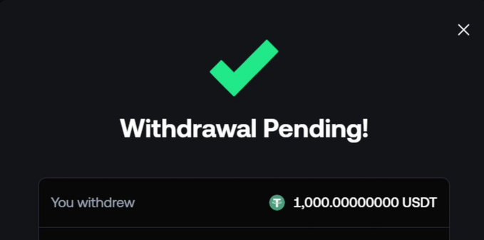 A digital withdrawal confirmation screen displays a green checkmark with the text "Withdrawal Pending!" and shows "You withdrew 1,000.00000000 USDT".
