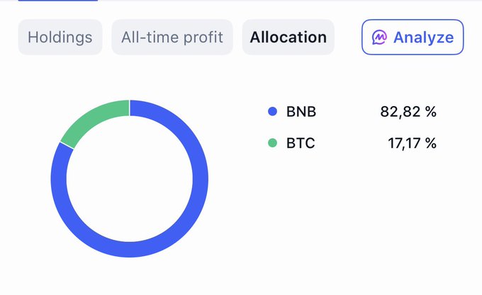 Cryptocurrency portfolio breakdown with the 'Allocation' tab selected, showing a donut chart with BNB at 82.82% and BTC at 17.17%.