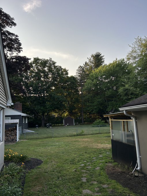 A backyard scene at dusk with a grassy lawn, surrounded by trees, a shed, a stack of firewood, and a small patio structure.