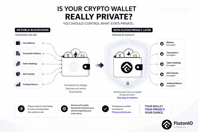 An infographic from FlutonIO titled 'IS YOUR CRYPTO WALLET REALLY PRIVATE?' compares public blockchains (transparent, exposing balances and transactions) to wallets with a Fluton privacy layer (encrypted by default), with the tagline 'YOUR WALLET. YOUR PRIVACY. YOUR CHOICE.'