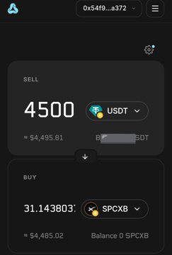 A cryptocurrency exchange interface showing a SELL order for 4500 USDT (≈ $4,495.81) and a BUY order for 31.143803 SPCXB (≈ $4,485.02), with a wallet address beginning 0x5419 visible at the top.