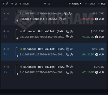A cryptocurrency transaction history displays multiple Binance deposits and hot wallet transfers in WLD tokens, including amounts like $133.22K and $97.74K.