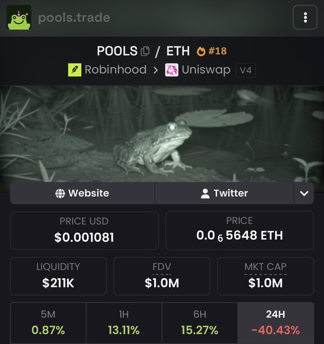 pools.trade page for POOLS/ETH token (#18) showing a price of $0.001081, market cap $1.0M, and a 24-hour change of -40.43%, featuring a green-tinted frog image.
