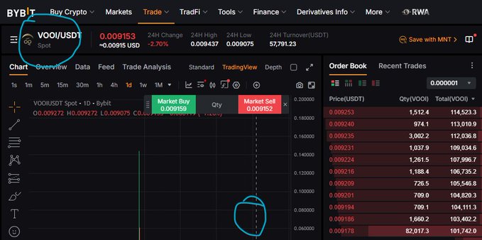 A screenshot of the BYBIT cryptocurrency exchange interface showing the trading pair "VOO/USDT" with a current price of 0.009153 and various order book data highlighted with hand-drawn blue circles.