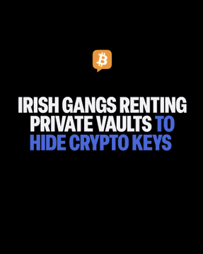 The image features a Bitcoin logo at the top with bold text reading "IRISH GANGS RENTING PRIVATE VAULTS TO HIDE CRYPTO KEYS," visually reinforcing the accompanying post about Irish criminal groups using private vaults to conceal cryptocurrency seed phrases and private keys, alongside cash, watches, and passports, according to Detective Chief Superintendent Michael Gubbins of Ireland's Criminal Assets Bureau.