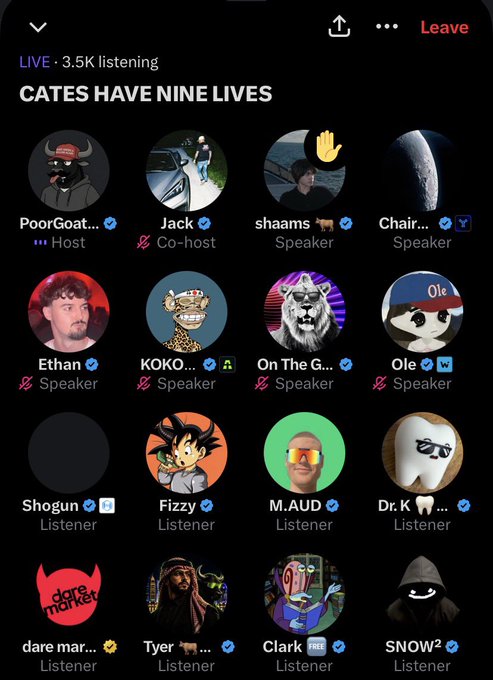 A screenshot of a live audio room titled 'CATES HAVE NINE LIVES' showing a grid of user avatars with their names and roles (Host, Co-host, Speaker, Listener).