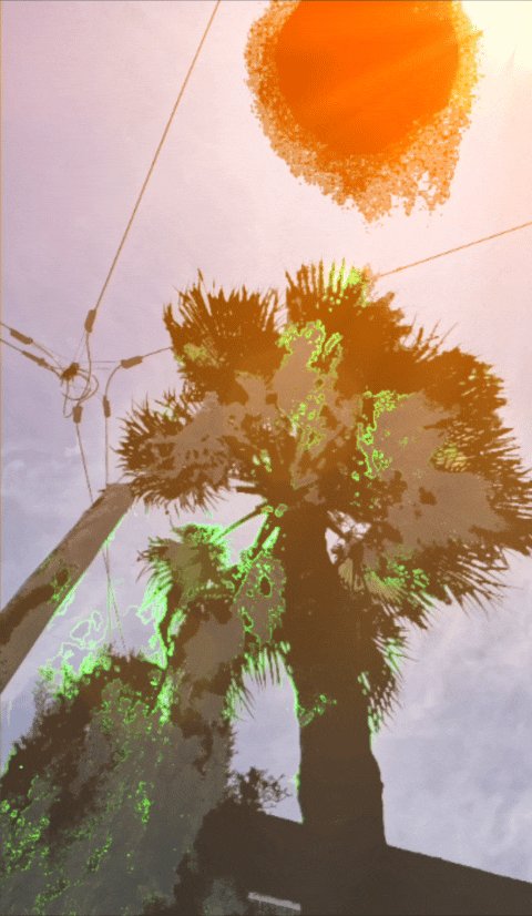 The image features a palm tree with its leaves casting a shadow, creating an interesting visual effect against the sky background. The photo has been edited or photoshopped to include a sunburst effect, making the palm tree appear as if it's floating in space. The caption of the image reads "My two #proofofpalm Minted works" and "#Palmitto", which are likely part of an artistic or creative project that uses the palm tree and its shadow as a central theme.