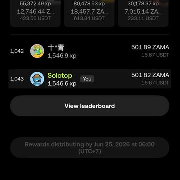 The image shows a cell phone screen displaying information about a leaderboard for a game, with the text "view leaderboard" at the top of the screen. The leaderboard is set up by Solotop, which is a popular online gaming platform. The leaderboard displays the names and scores of players who have achieved high scores in the game. The image also includes a link to the Solotop website for more information about the leaderboard or to view other player data.