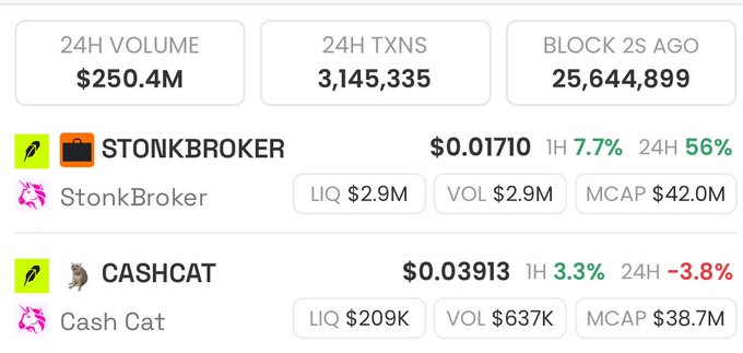 A cryptocurrency market dashboard showing 24H volume of $250.4M, 3,145,335 transactions, and listings for STONKBROKER ($0.01710, +56% 24H) and CASHCAT ($0.03913, -3.8% 24H).