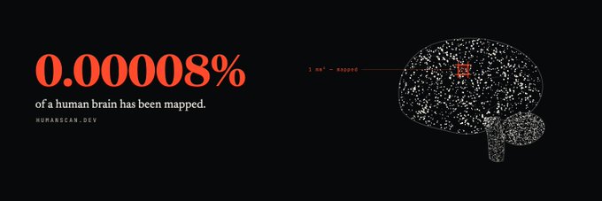 An infographic titled "0.00008% of a human brain has been mapped" from HUMANCAN.DEV, showing a brain diagram with "1 mm³ - mapped" highlighted in red.