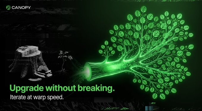 A promotional banner for Canopy with the text 'Upgrade without breaking. Iterate at warp speed.' showing a glowing green tree growing from a tree stump.