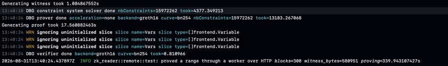 A terminal/console screenshot showing log messages including 'Generating witness', 'DBG constraint system solver done', and warnings about uninitialized slices, with a final log entry dated 2026-08-31.