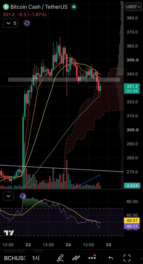 A TradingView-style cryptocurrency chart for Bitcoin Cash/TetherUS (BCHUSDT) showing the price at 331.2, down 6.3 (-1.87%), with candlesticks, moving averages, and an RSI indicator below on a 1-hour timeframe.