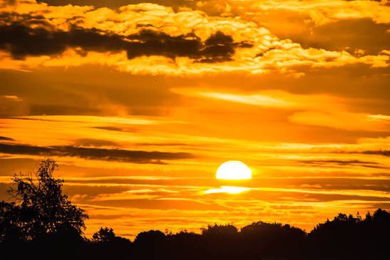 A vibrant sunset sky filled with golden and orange clouds, with the sun partially obscured by the horizon and silhouetted trees below.